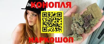 крисы Сланцы