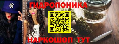 крисы Сланцы