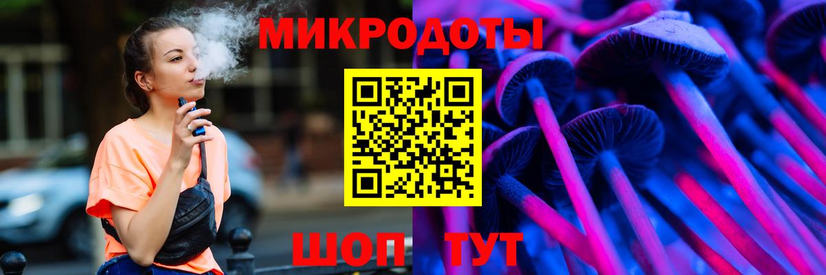 Псилоцибиновые грибы Psilocybe Москва